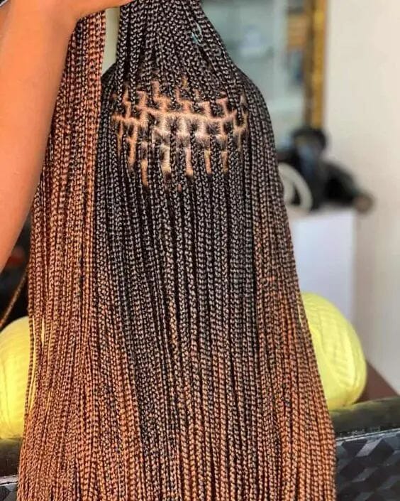 Small Knotless Braids Hairstyle