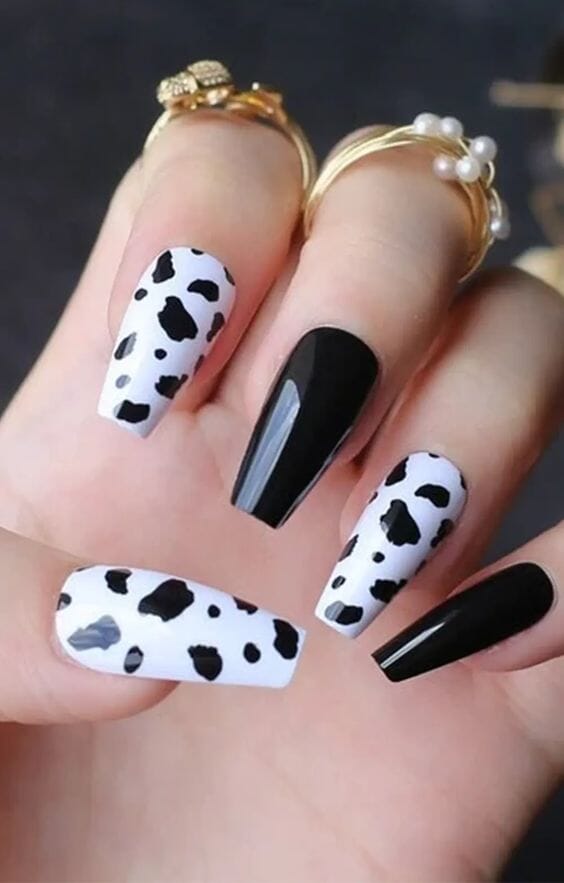 cow nail designs