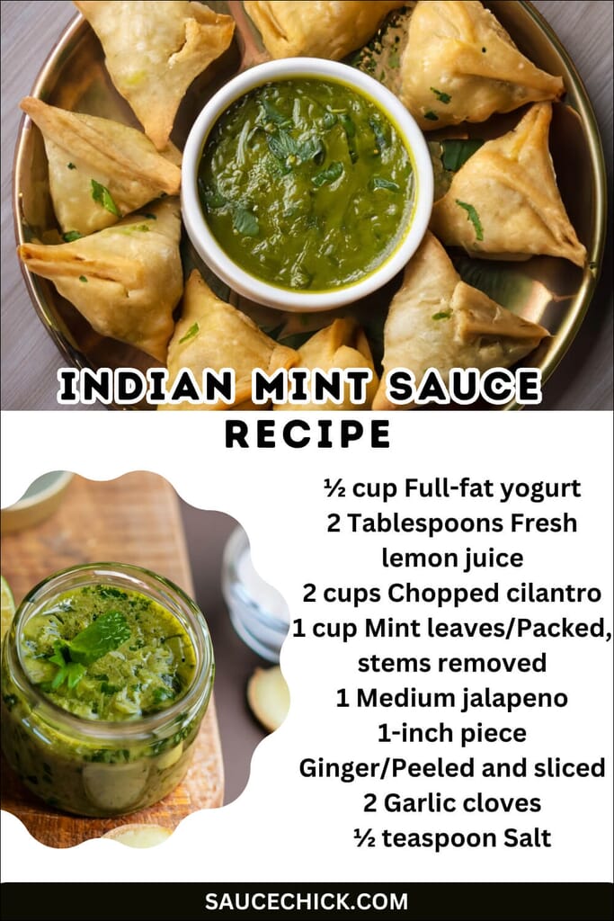 Indian Mint Sauce Recipe