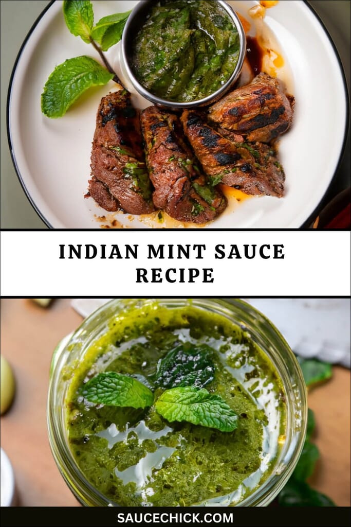 Indian Mint Sauce Recipe