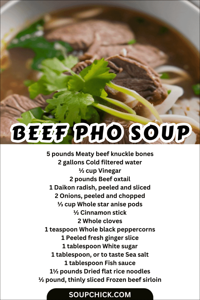 beef pho soup