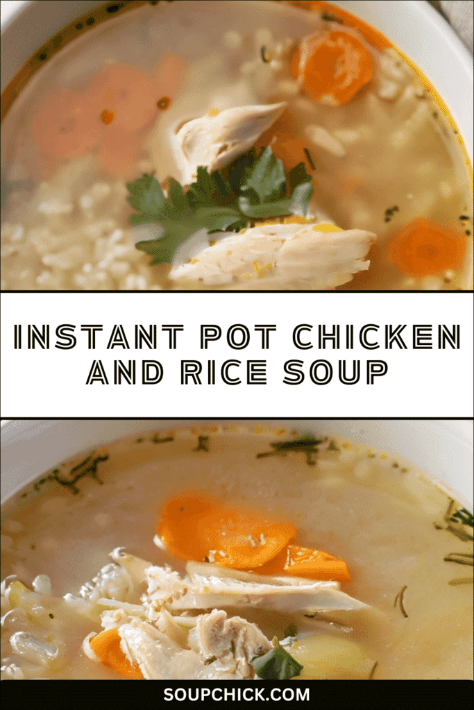 instant pot chicken and rice 
