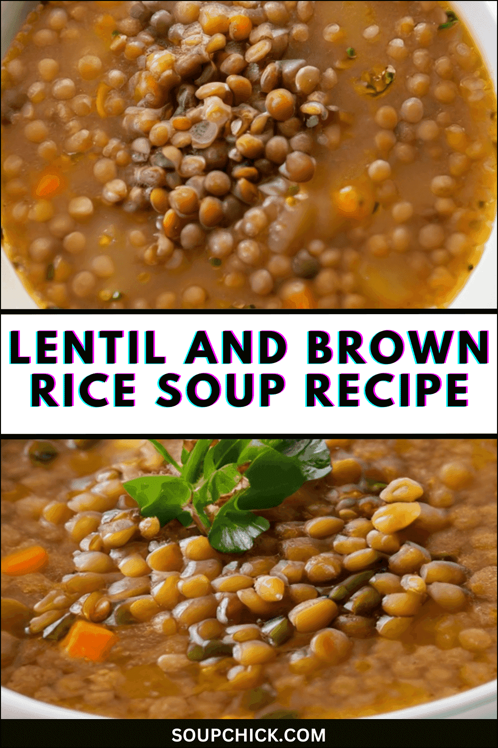 Lentil And Brown Rice Soup Recipe (A Unique Delicious Twist) - Soup Chick