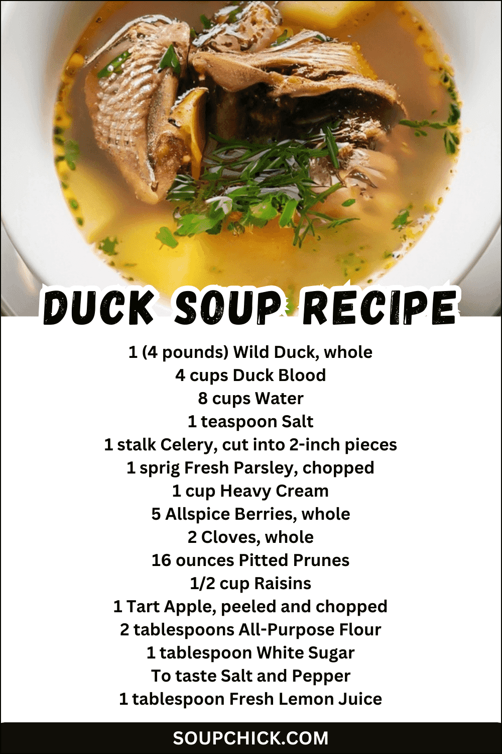 duck soup recipe