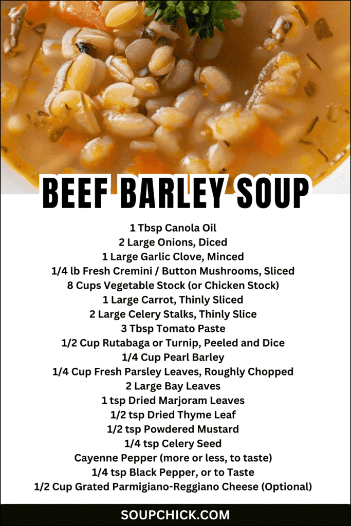 beef barley soup