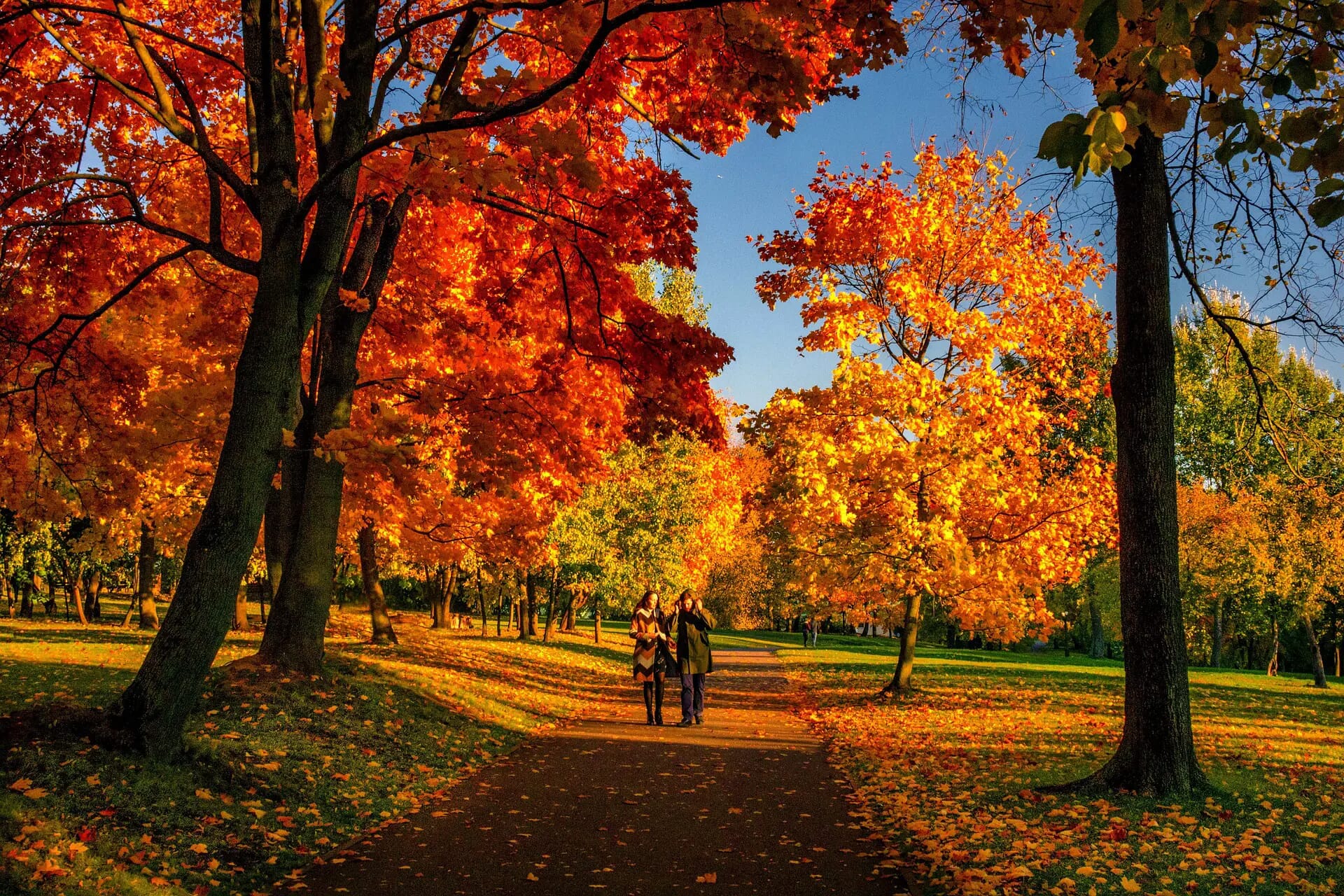 61 Invigorating September Quotes To Celebrate The Joys Of Autumn