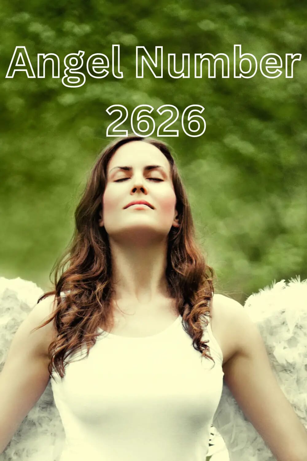 Angel number 2626
