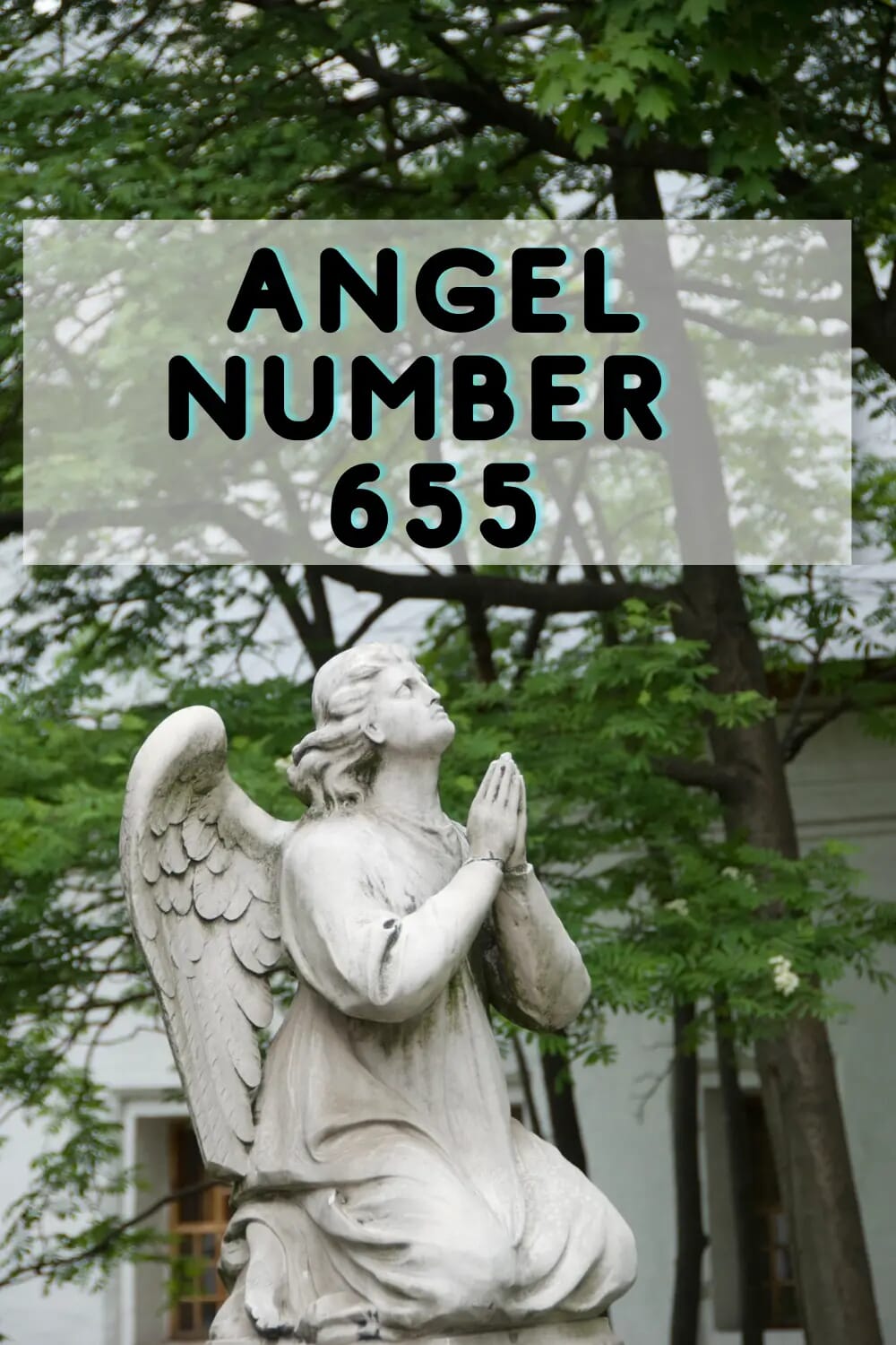 Angel number 655