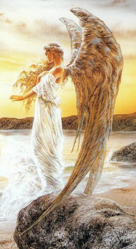Angel Number 440: Embrace Stability, Manifest Abundance, and Find Inner Peace for a Harmonious Life